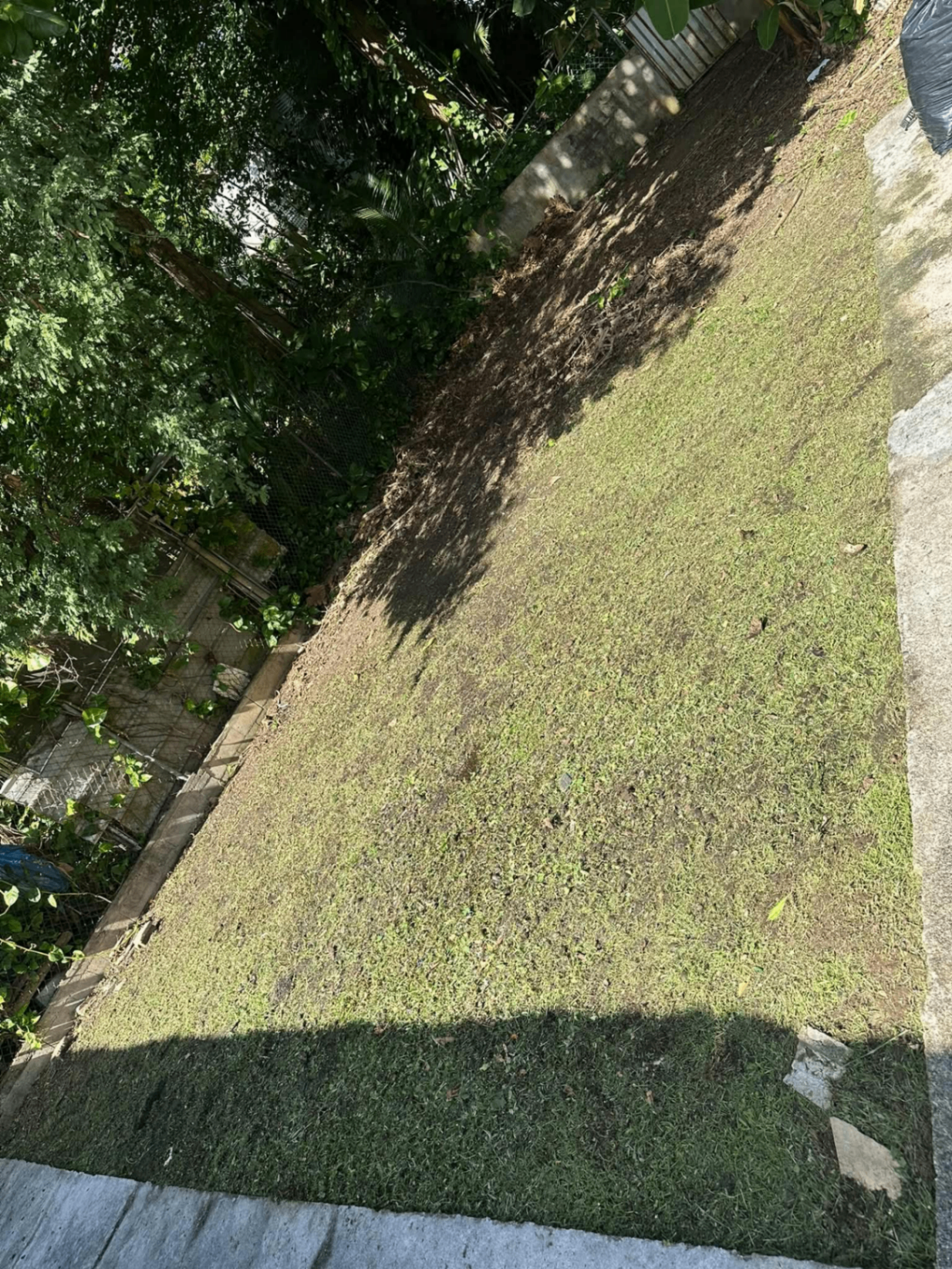 Patio Trasero