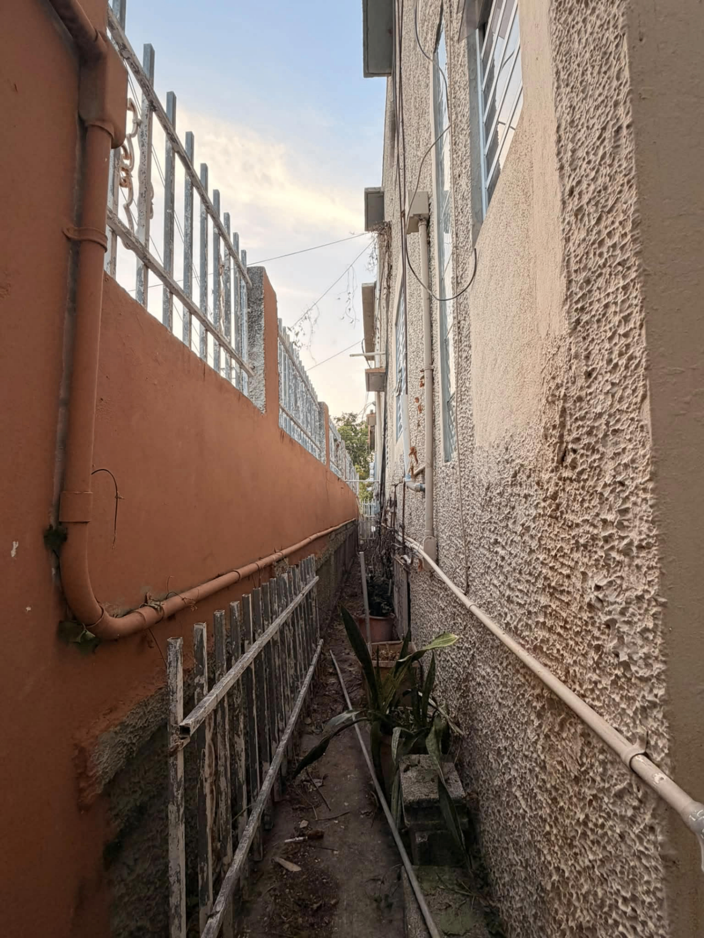 Limpieza de Callejón